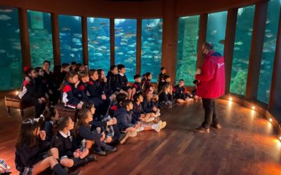 Visita de los alumnos de 3º de Primaria al Aquarium Finisterrae