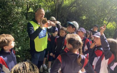 Ruta del Agua por el río Mero en 3º de Primaria