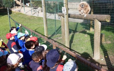 Visita a Corax Fauna del alumnado de 4 años de Educación Infantil