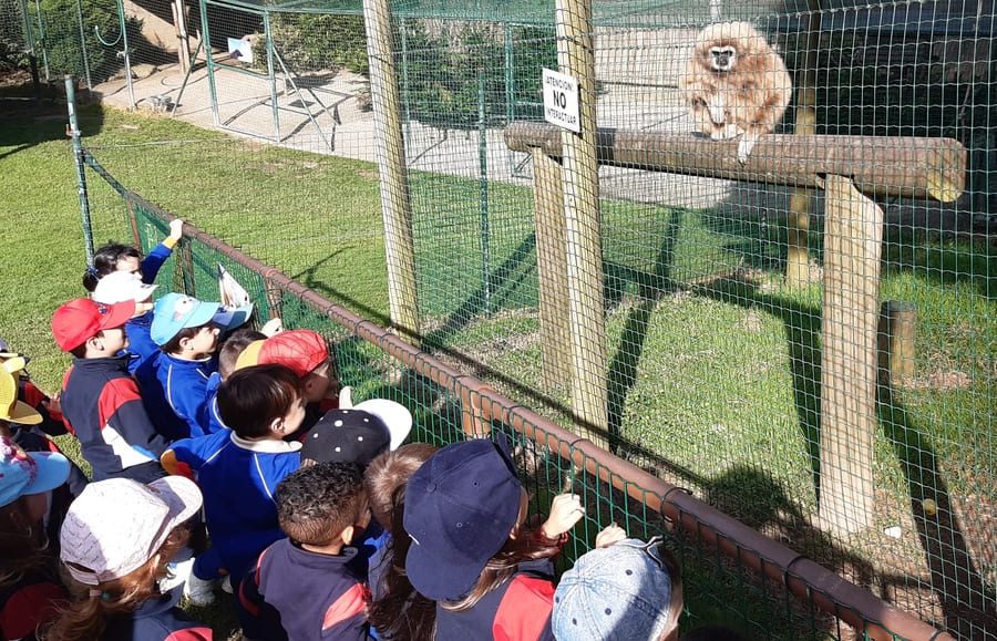 Visita a Corax Fauna del alumnado de 4 años de Educación Infantil