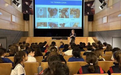 Charla con la protectora APADAN dentro del proyecto GOACAN de 3º de Primaria