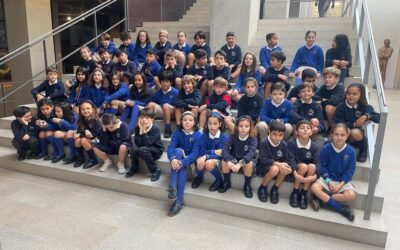 Actividad «Islas de la Naturaleza» en el Museo de Bellas Artes de 4º de Primaria