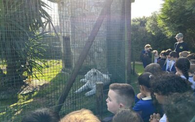 Visita a Corax Fauna del alumnado de 3º de Educación Primaria