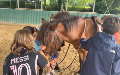 Salida Fin de Curso de 4º de Primaria al Multiaventura y Centro Ecuestre de O Ventoso