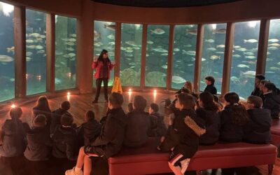 Actividad en la «Casa de los Peces» dentro del proyecto “Loana y el misterio del agua” en 3º de Educación Primaria